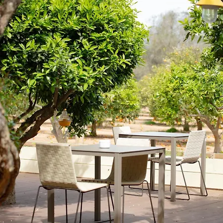 Jaume By Ocean Drive Hotel *